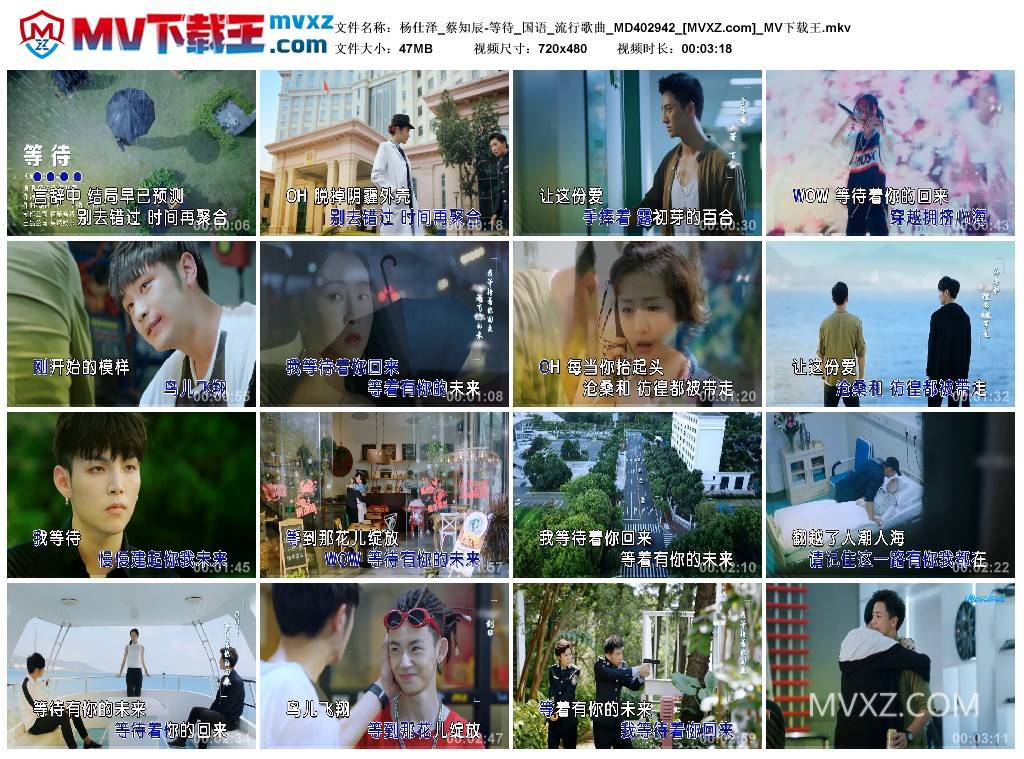 杨仕泽_蔡知辰-等待_国语_流行歌曲_MD402942